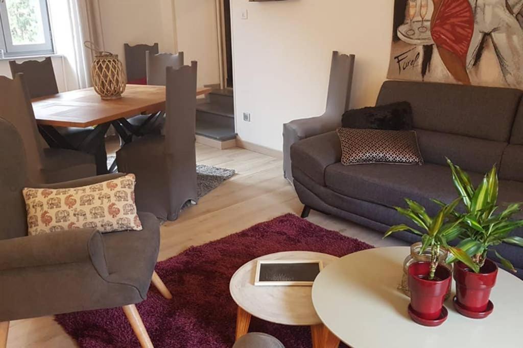 Appartement Cosy Au Pied Du Tourmalet 캄팡 외부 사진