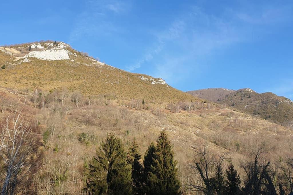 Appartement Cosy Au Pied Du Tourmalet 캄팡 외부 사진